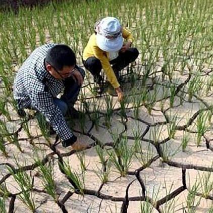 云南最新天气预报及未来气候趋势分析