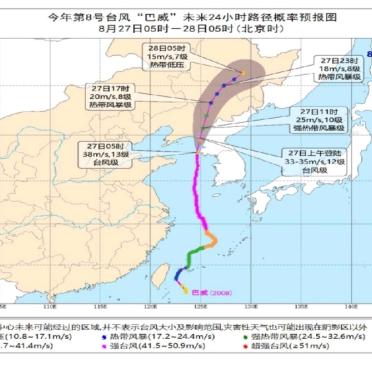 19号台风最新消息，风雨即将来临的深度解析