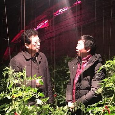 高陵通远最新天气情况分析与展望