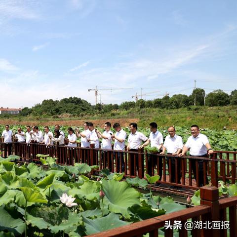 未来蓝图揭秘