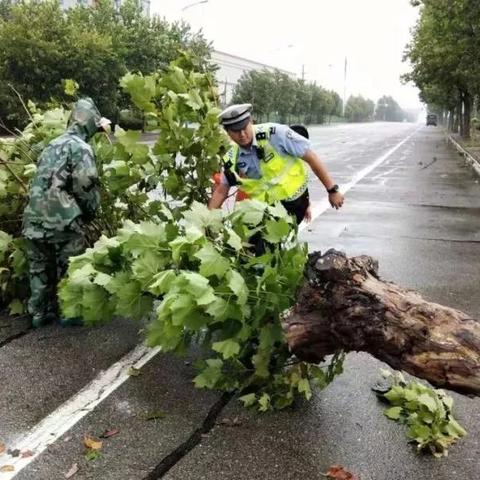 烟台天气预报最新解读，利奇马的影响与展望