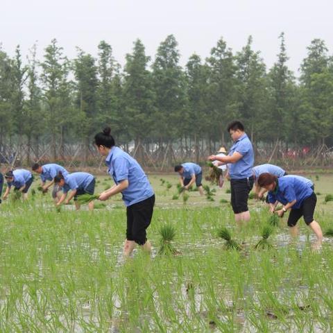 苏州固锝电子最新招聘|常见误解与澄清说明