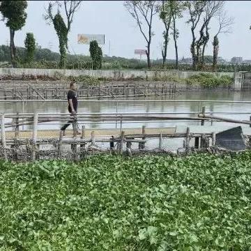 苏州吴江最新领导|实际应用及其经典案例