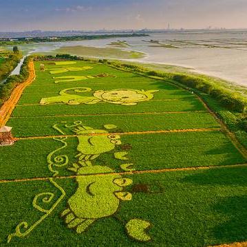 苏州阳澄湖打卡地图最新|客户需求分析与管理