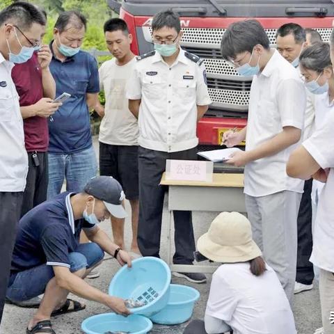 苏州钓鲢鱼最新视频图片|科技成语分析落实