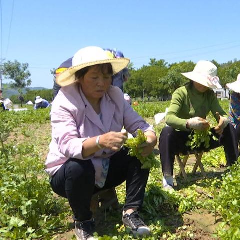 苏州回收旧冷库价钱最新|财务管理与风险控制