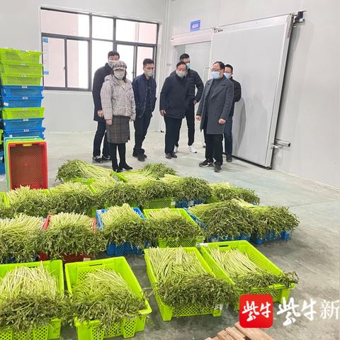 最新苏州市防疫消息通告|科技成语分析落实