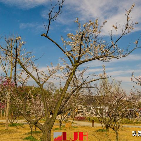 苏州盛州像胶最新招聘|环境保护计划与评估